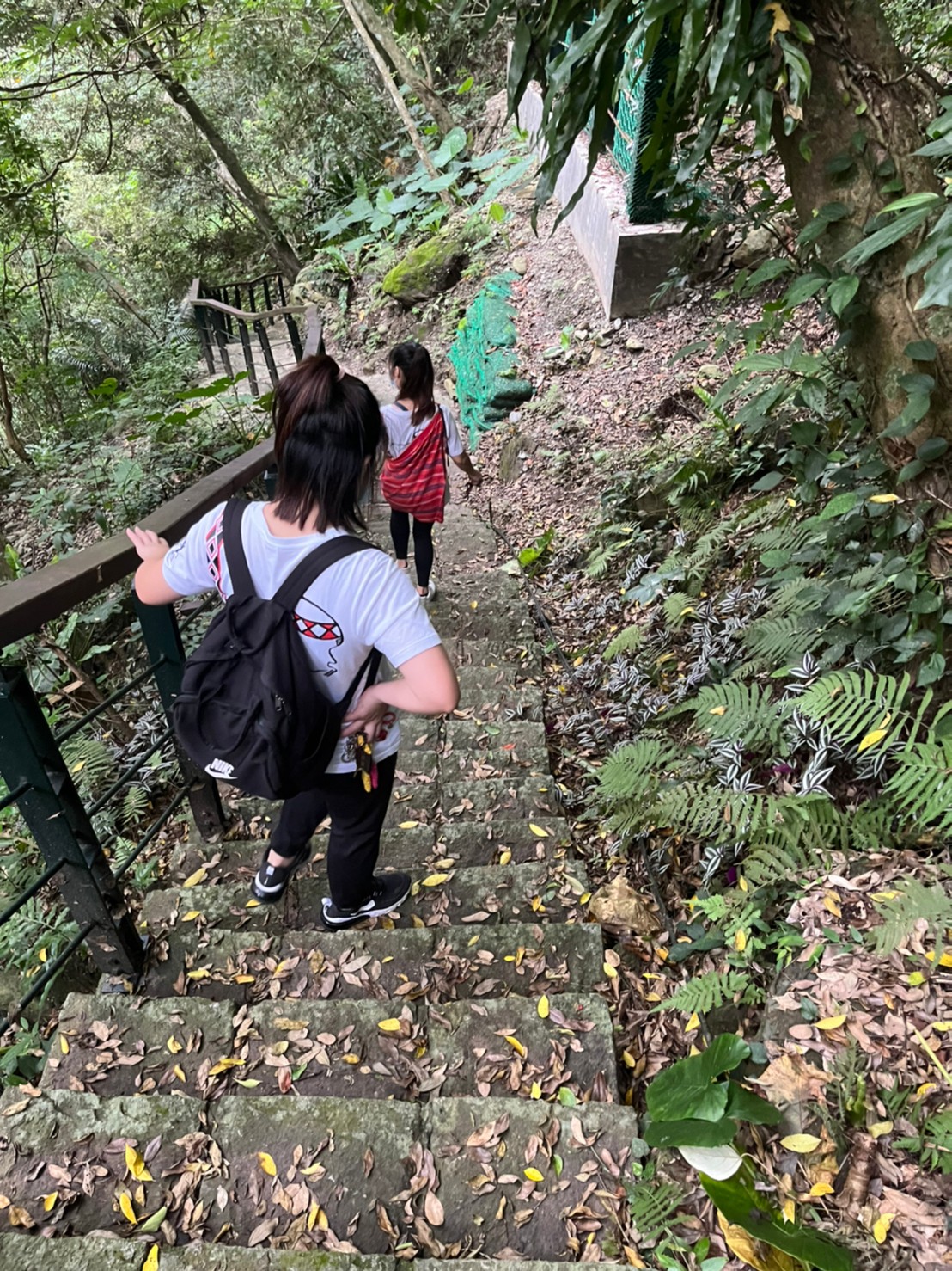 LINE_ALBUM_615山月村-伊達斯步道-燕子口_220616_18